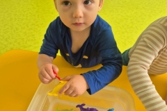 IMG-20260324-WA0026