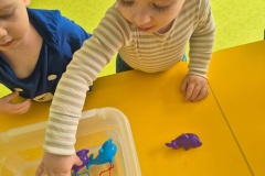 IMG-20260324-WA0027