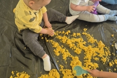 IMG-20260708-WA0007