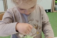 IMG20250409072859