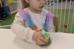 IMG20250409073325