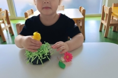 IMG20250409095513