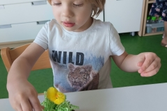 IMG20250409095950