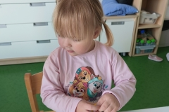 IMG20250409100226