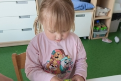 IMG20250409100228
