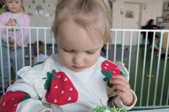 IMG20250409100450