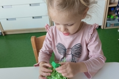 IMG20250409101054