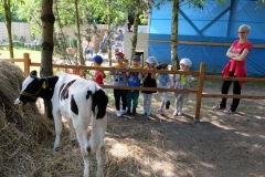 wiejskie_podwórko_Bobolin_17.05.2018_014