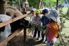 wiejskie_podwórko_Bobolin_17.05.2018_048