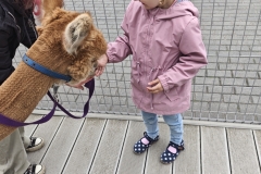 IMG_20260615_150328