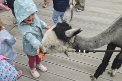 IMG_20260615_150550