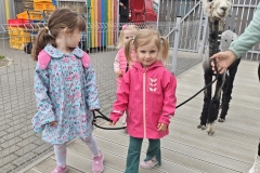 IMG_20260615_150937