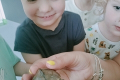 IMG20240522093610