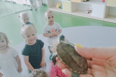 IMG20240522093729