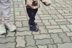 Messenger_creation_579FD618-CB92-404A-BC2C-4CE9EC2077A5