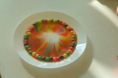 IMG-20250326-WA0032