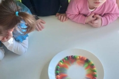 IMG-20250326-WA0041