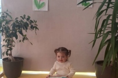 IMG-20250326-WA0011