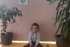 IMG-20250326-WA0013