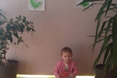 IMG-20250326-WA0015