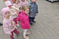 IMG_20260521_100406