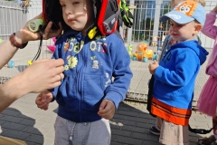 IMG_20260528_091501