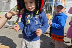 IMG_20260528_091503