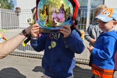 IMG_20260528_091509