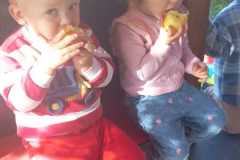 IMG-20260930-WA0001