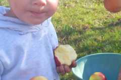 IMG-20260930-WA0002