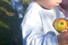 IMG-20260930-WA0004