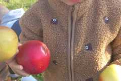 IMG-20260930-WA0005