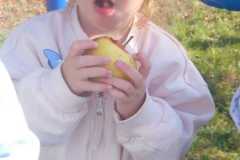 IMG-20260930-WA0006