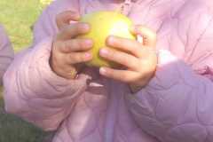 IMG-20260930-WA0008