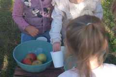 IMG-20260930-WA0010