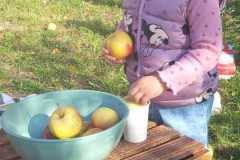 IMG-20260930-WA0011