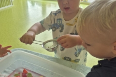 IMG-20260702-WA0002