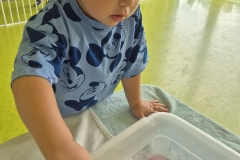 IMG-20260702-WA0025